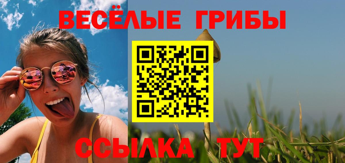 Камень-на-Оби  Псилоцибиновые грибы мицелий  Псилоцибиновые грибы GOLDEN TEACHER  Вход с VPN 